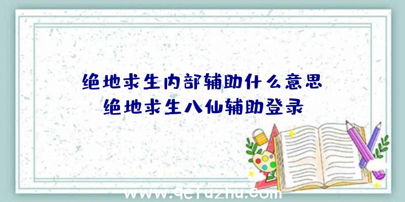 「绝地求生内部辅助什么意思」|绝地求生八仙辅助登录